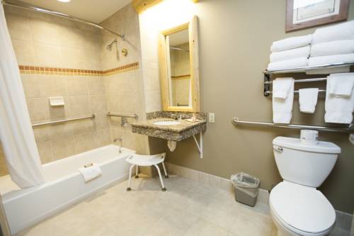 Imagen de la habitación del Hotel Great Wolf Lodge Grapevine. Foto 6