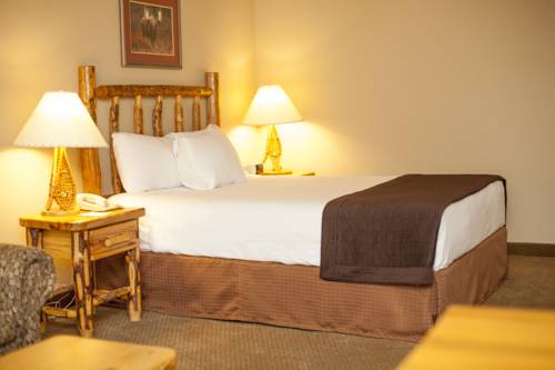 Imagen de la habitación del Hotel Great Wolf Lodge Grapevine. Foto 11