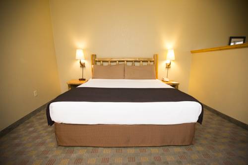 Imagen de la habitación del Hotel Great Wolf Lodge Grapevine. Foto 12