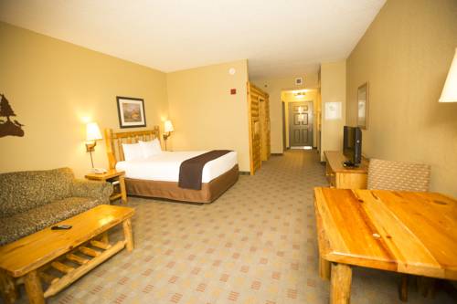 Imagen de la habitación del Hotel Great Wolf Lodge Grapevine. Foto 15