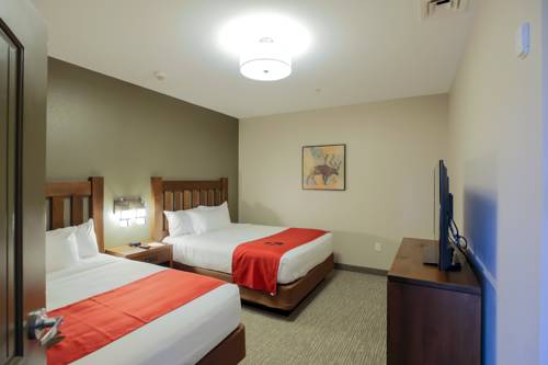 Imagen de la habitación del Hotel Great Wolf Lodge Illinois. Foto 4
