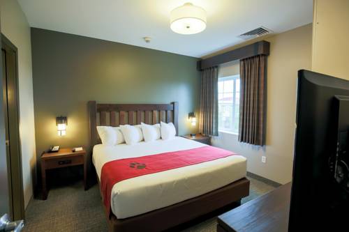 Imagen de la habitación del Hotel Great Wolf Lodge Illinois. Foto 5