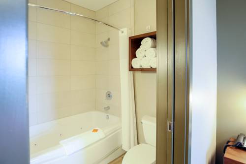 Imagen de la habitación del Hotel Great Wolf Lodge Illinois. Foto 6