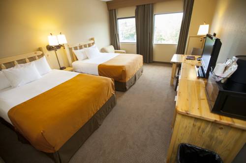 Imagen de la habitación del Hotel Great Wolf Lodge New England. Foto 3