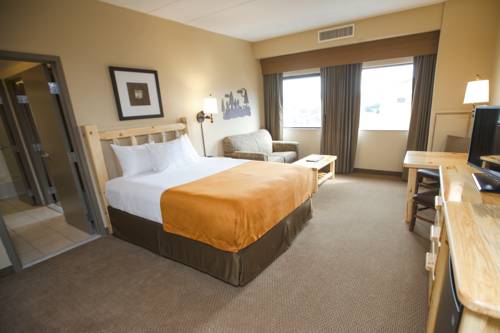 Imagen de la habitación del Hotel Great Wolf Lodge New England. Foto 12