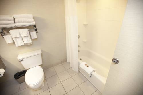 Imagen de la habitación del Hotel Great Wolf Lodge New England. Foto 16