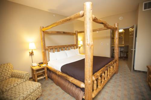 Imagen de la habitación del Hotel Great Wolf Lodge Traverse City. Foto 7