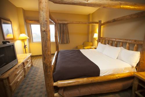 Imagen general del Hotel Great Wolf Lodge Traverse City. Foto 1