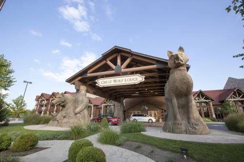 Imagen de la habitación del Hotel Great Wolf Lodge Williamsburg. Foto 2