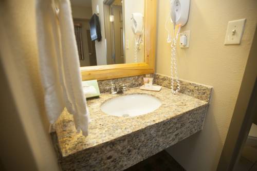 Imagen general del Hotel Great Wolf Lodge Williamsburg. Foto 1