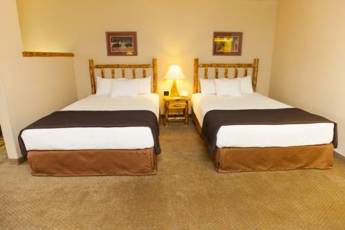 Imagen de la habitación del Hotel Great Wolf Lodge Wisconsin Dells. Foto 4