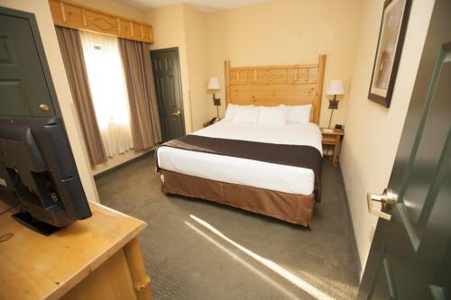 Imagen de la habitación del Hotel Great Wolf Lodge Wisconsin Dells. Foto 8