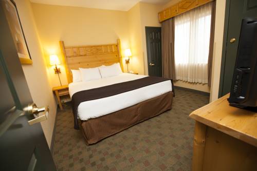 Imagen de la habitación del Hotel Great Wolf Lodge Wisconsin Dells. Foto 10