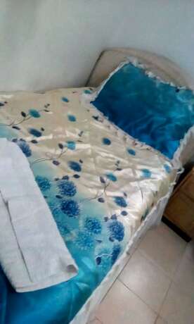 Imagen general del Hotel Green Apple Guest House. Foto 5