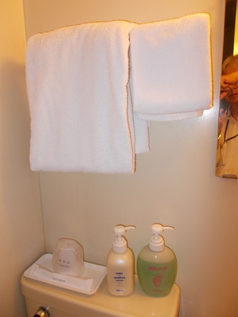 Imagen de la habitación del Hotel Green Arbor. Foto 7