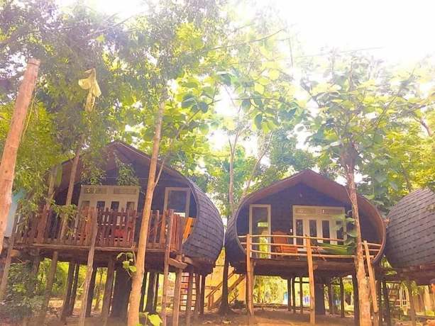 Imagen de la habitación del Hotel Green Bamboo Lodge. Foto 10