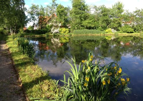 Imagen general del Hotel Green Business am Mühlengrund Graz. Foto 2