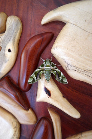 Imagen de los interiores del Hotel Green Canyon Eco Art Resort. Foto 10