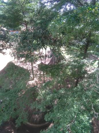 Imagen general del Hotel Green Court. Foto 3