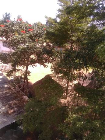 Imagen general del Hotel Green Court. Foto 5