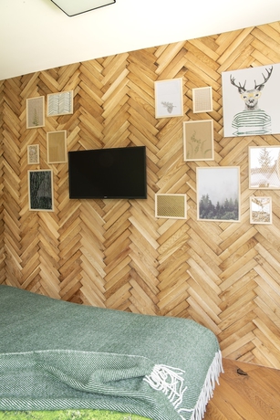 Imagen de la habitación del Hotel Green Deer Premium. Foto 5