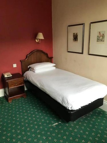 Imagen de la habitación del Hotel Green Dragon. Foto 7