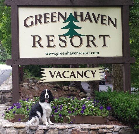 Imagen general del Hotel Green Haven Resort. Foto 10