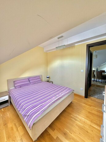 Imagen general del Hotel Green Hill Zlatibor Apartment. Foto 7
