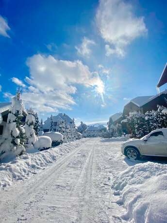 Imagen general del Hotel Green Hill Zlatibor Apartment. Foto 18