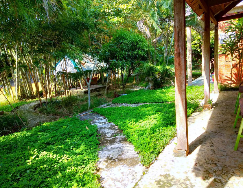 Imagen general del Hotel Green Hope Lodge. Foto 15