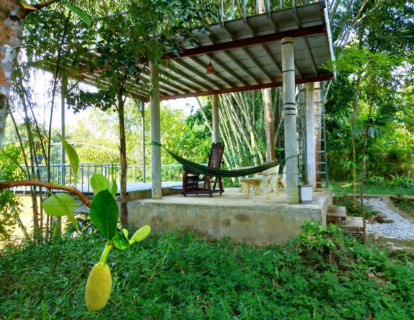 Imagen general del Hotel Green Hope Lodge. Foto 24