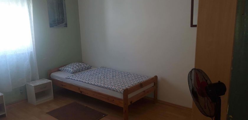 Imagen de la habitación del Hotel Green Hostel. Foto 16