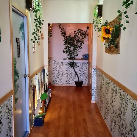Imagen general del Hotel Green Hostel Madrid. Foto 7