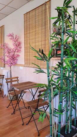 Imagen general del Hotel Green Hostel Madrid. Foto 8