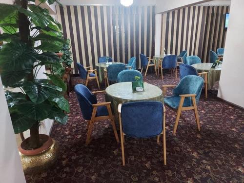 Imagen general del Hotel Green House, Suez. Foto 5