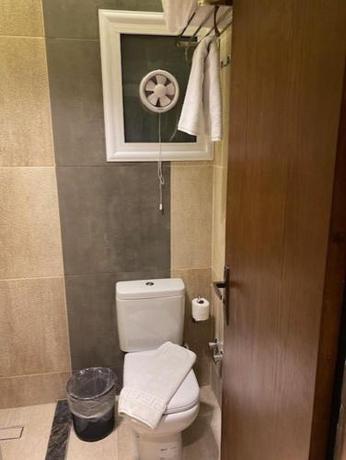 Imagen de la habitación del Hotel Green House, Suez. Foto 19