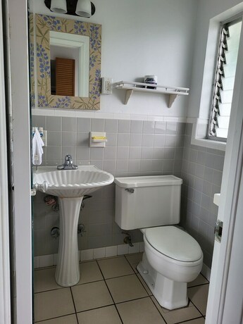 Imagen general del Hotel Green Island Inn. Foto 14