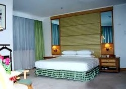 Imagen de la habitación del Hotel Green Land Hotel. Foto 3