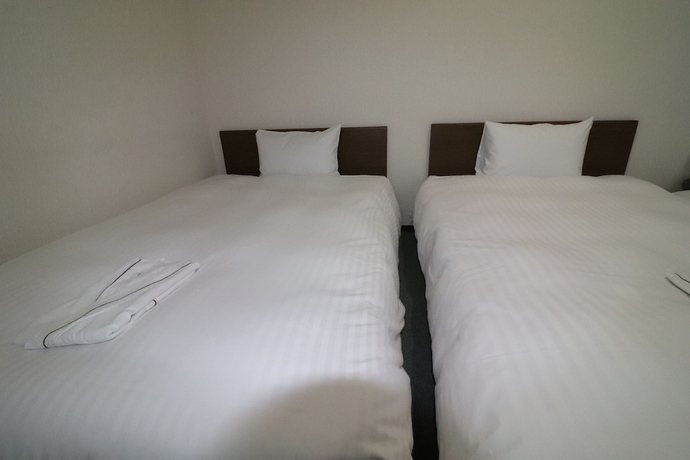 Imagen de la habitación del Hotel Green Line. Foto 3