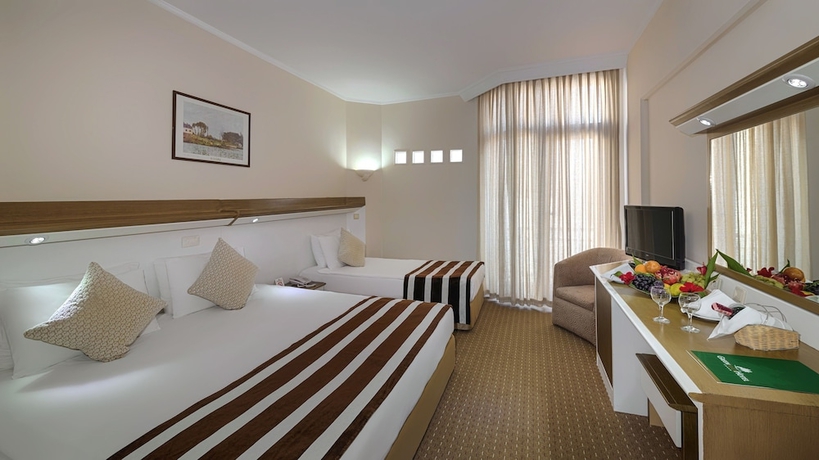 Imagen de la habitación del Hotel Green Max. Foto 2
