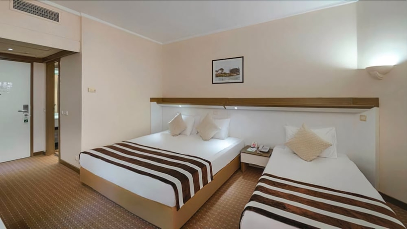Imagen de la habitación del Hotel Green Max. Foto 6