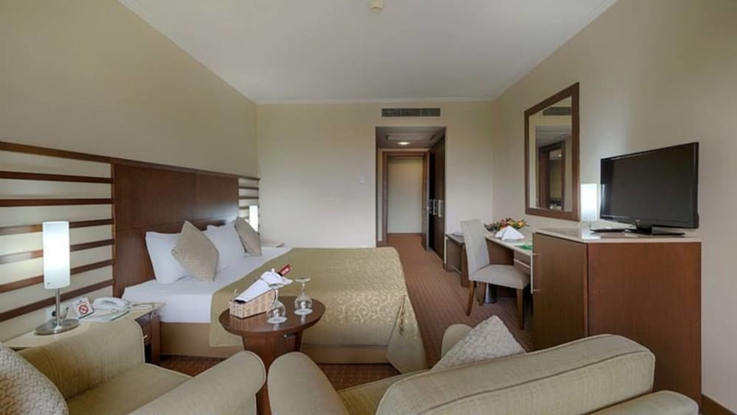 Imagen de la habitación del Hotel Green Max. Foto 8