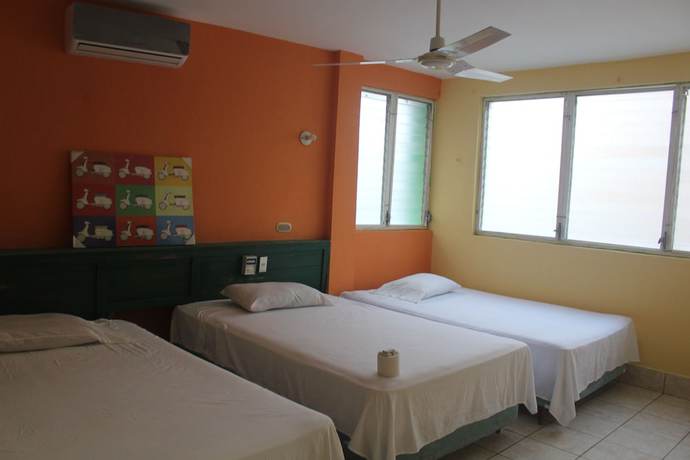 Imagen de la habitación del Hotel Green Monkey - Hostel. Foto 3