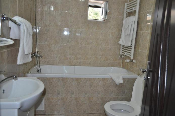 Imagen de la habitación del Hotel Green Palace, SINAIA. Foto 9