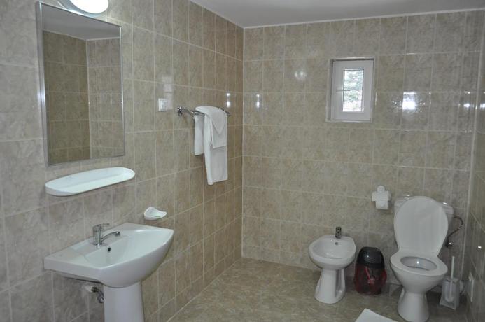 Imagen de la habitación del Hotel Green Palace, SINAIA. Foto 11