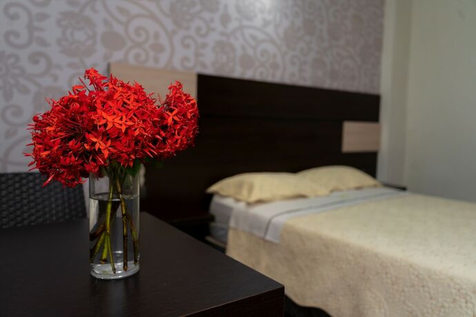 Imagen de la habitación del Hotel Green Paradise hotel. Foto 16