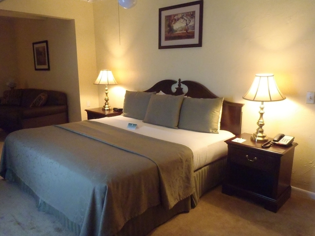 Imagen de la habitación del Hotel Green Park Inn. Foto 12