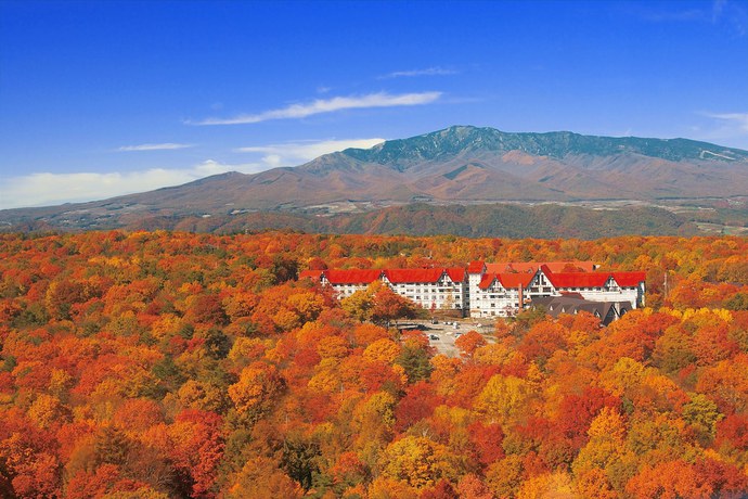 Imagen general del Hotel Green Plaza Karuizawa. Foto 5