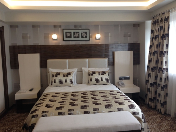 Imagen de la habitación del Hotel Green Prusa. Foto 5