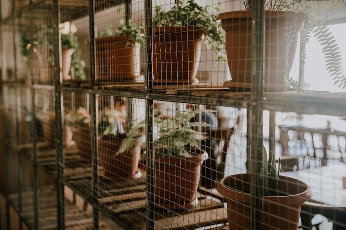 Imagen del bar/restaurante del Hotel Green Sheep Boutique. Foto 6